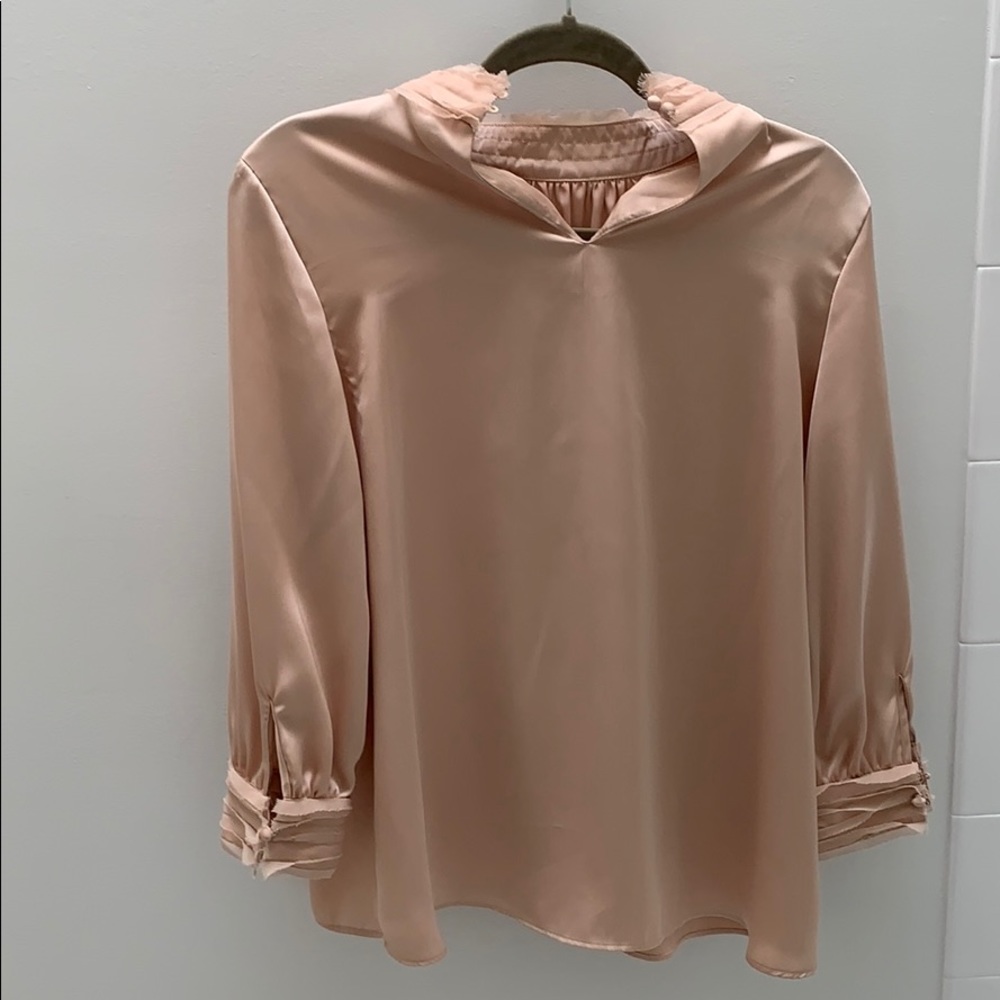 Zara rose colored shimmery top